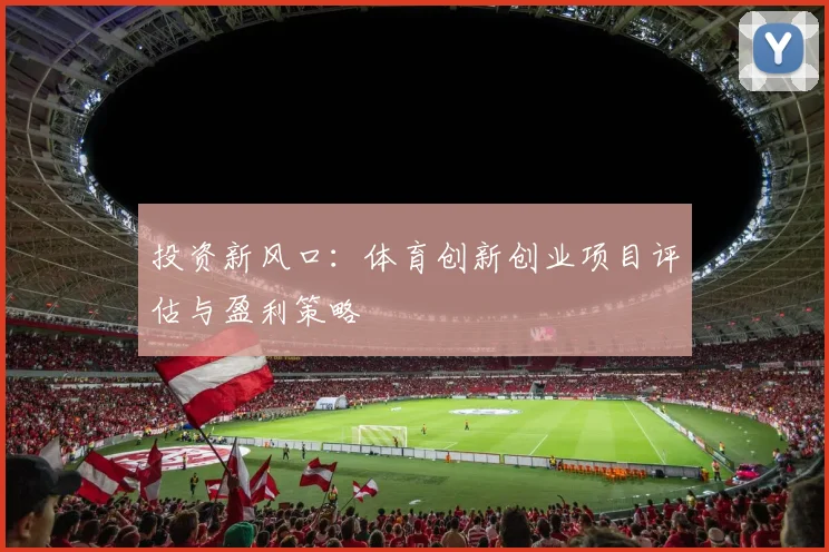 投资新风口：体育创新创业项目评估与盈利策略